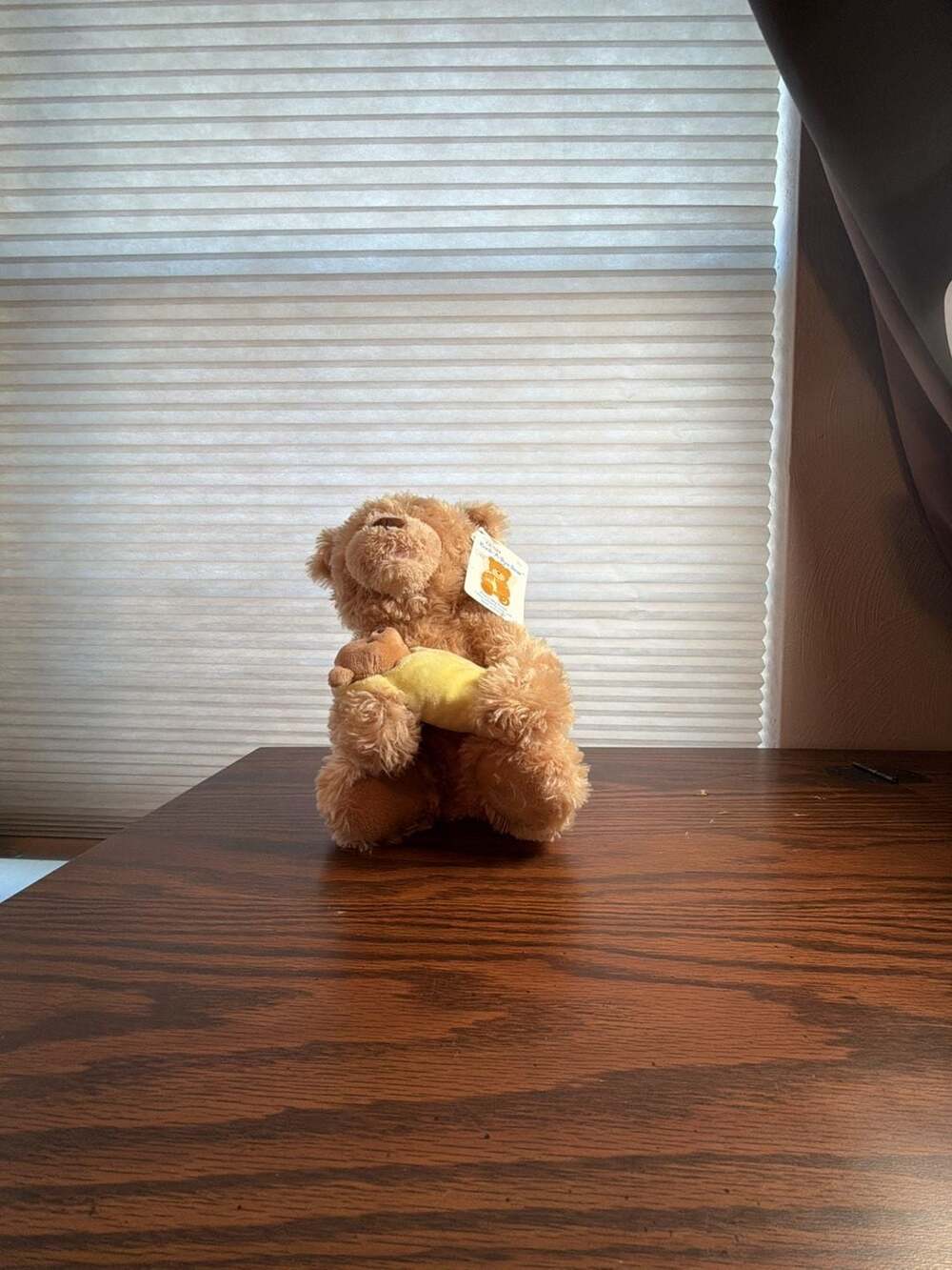 Gund Animated Rock-A-Bye Bear Plush Teddy Bear